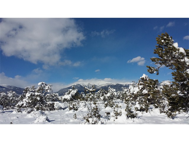 20140203_100444